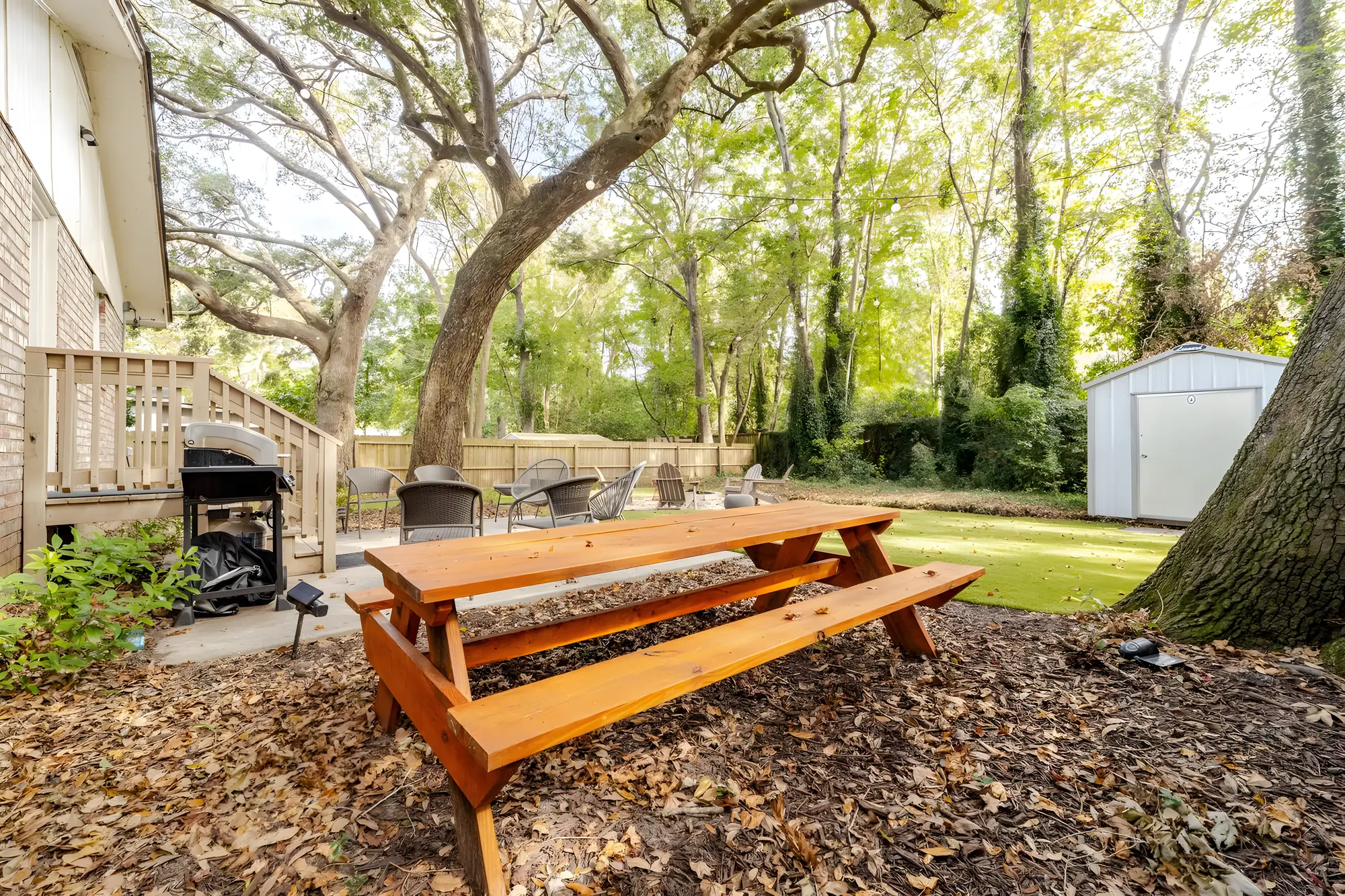 Picnic table, grill and patio under a spreading live oak in the fenced backyard