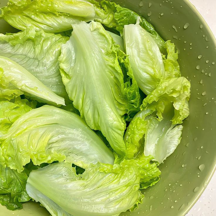 Close-up of fresh green lettuce leaves with natural texture and crisp edges