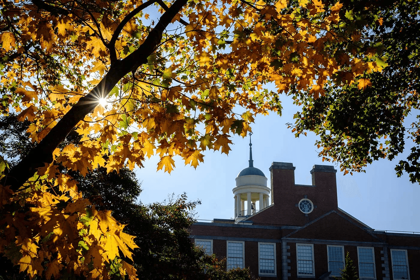 Wake Forest SAT Scores — test-optional policy explained