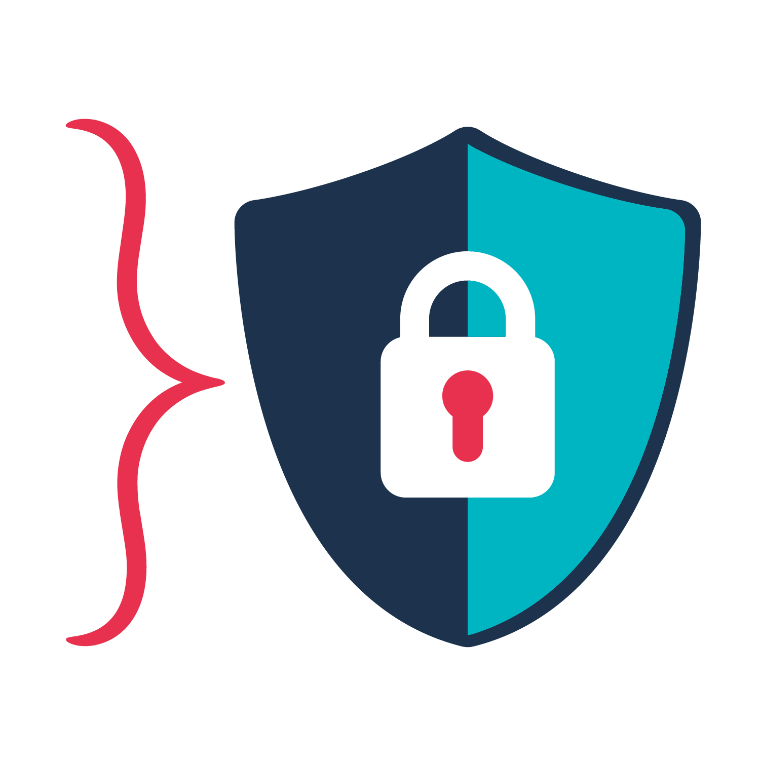 security shield with lock