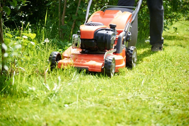 A person mowing lawn with an orange machine