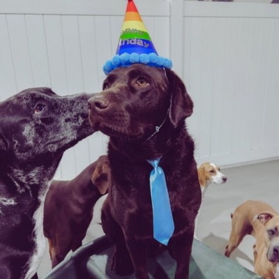 three products nrext a plant