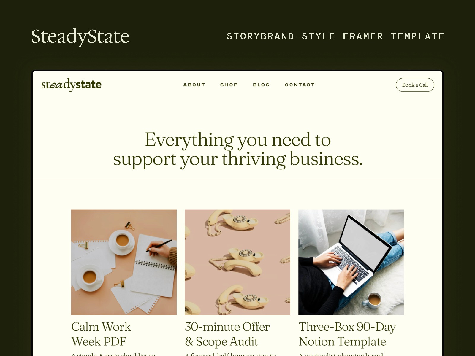SteadyState