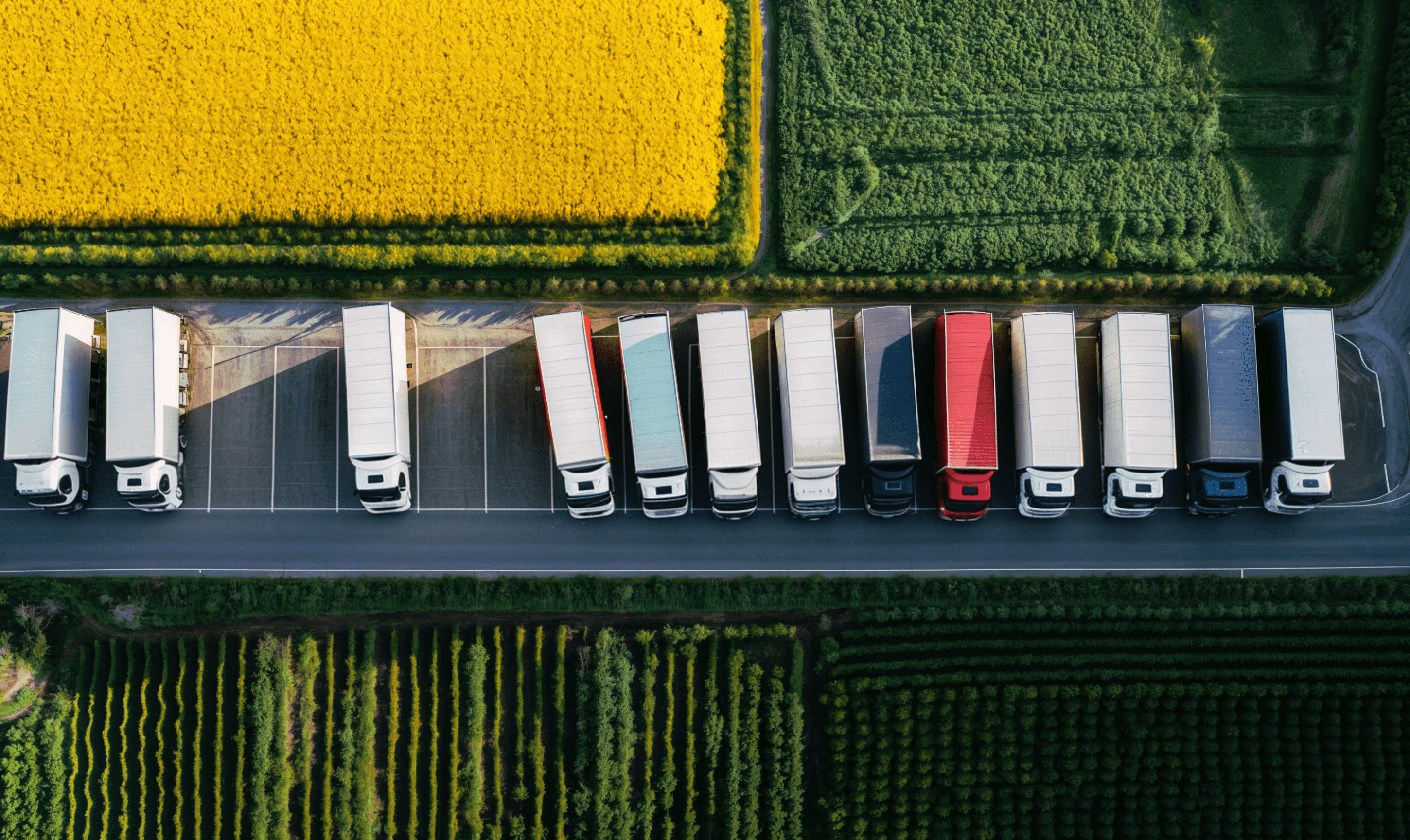 Tractor working in a field