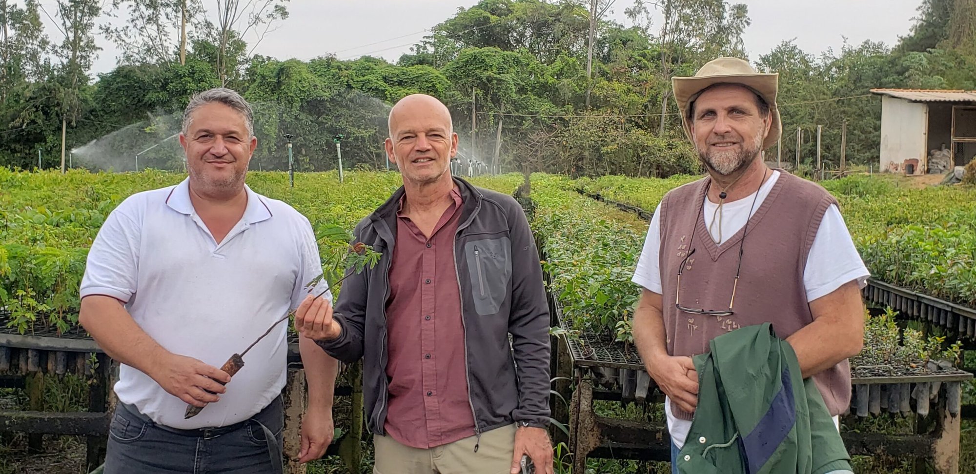 Três homens sorrindo em frente a canteiros de mudas em viveiro com irrigação ao fundo