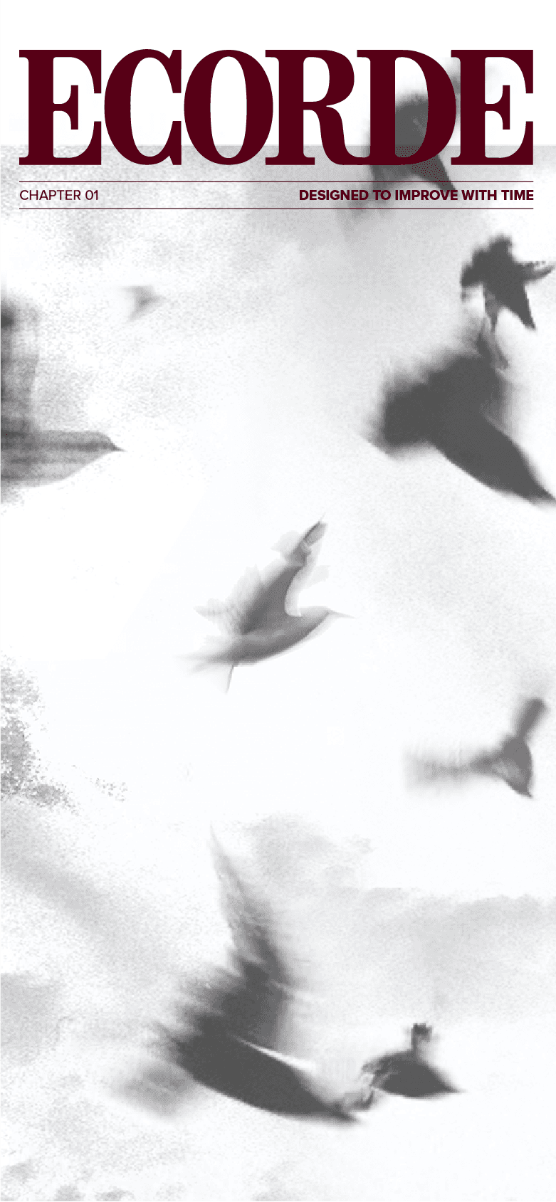 ECORDE Chapter 01 campaign artwork