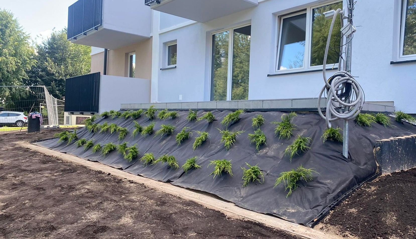 Nasadzenia na skarpie przy bloku