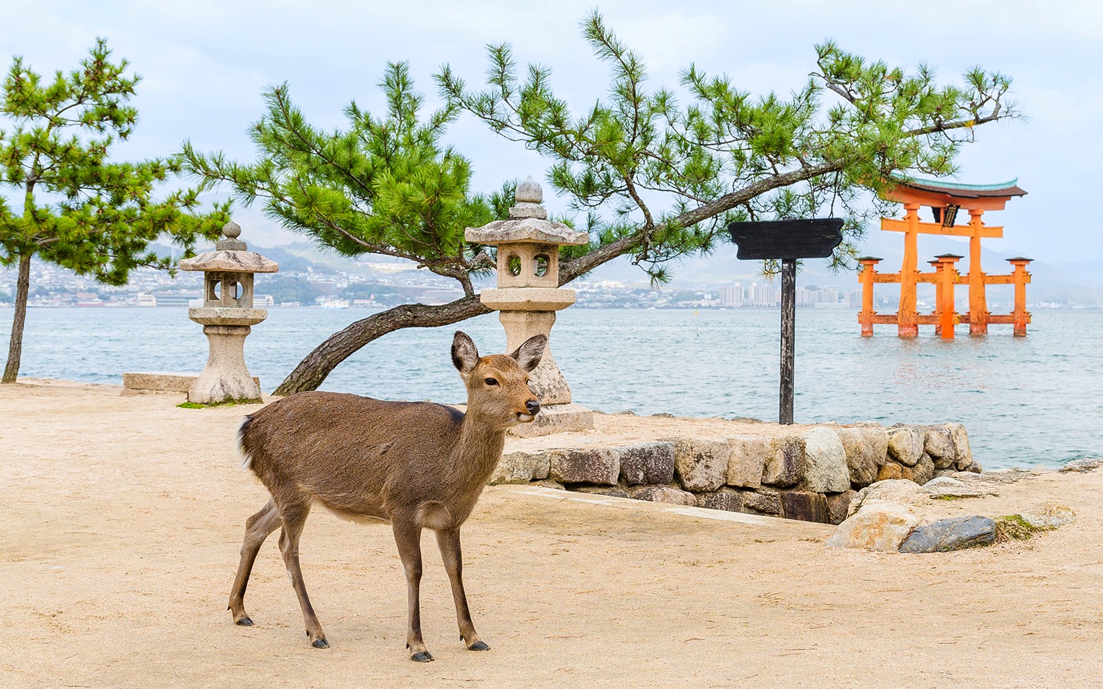 from hiroshima: hiroshima & miyajima day tour with roundtrip transfers-7