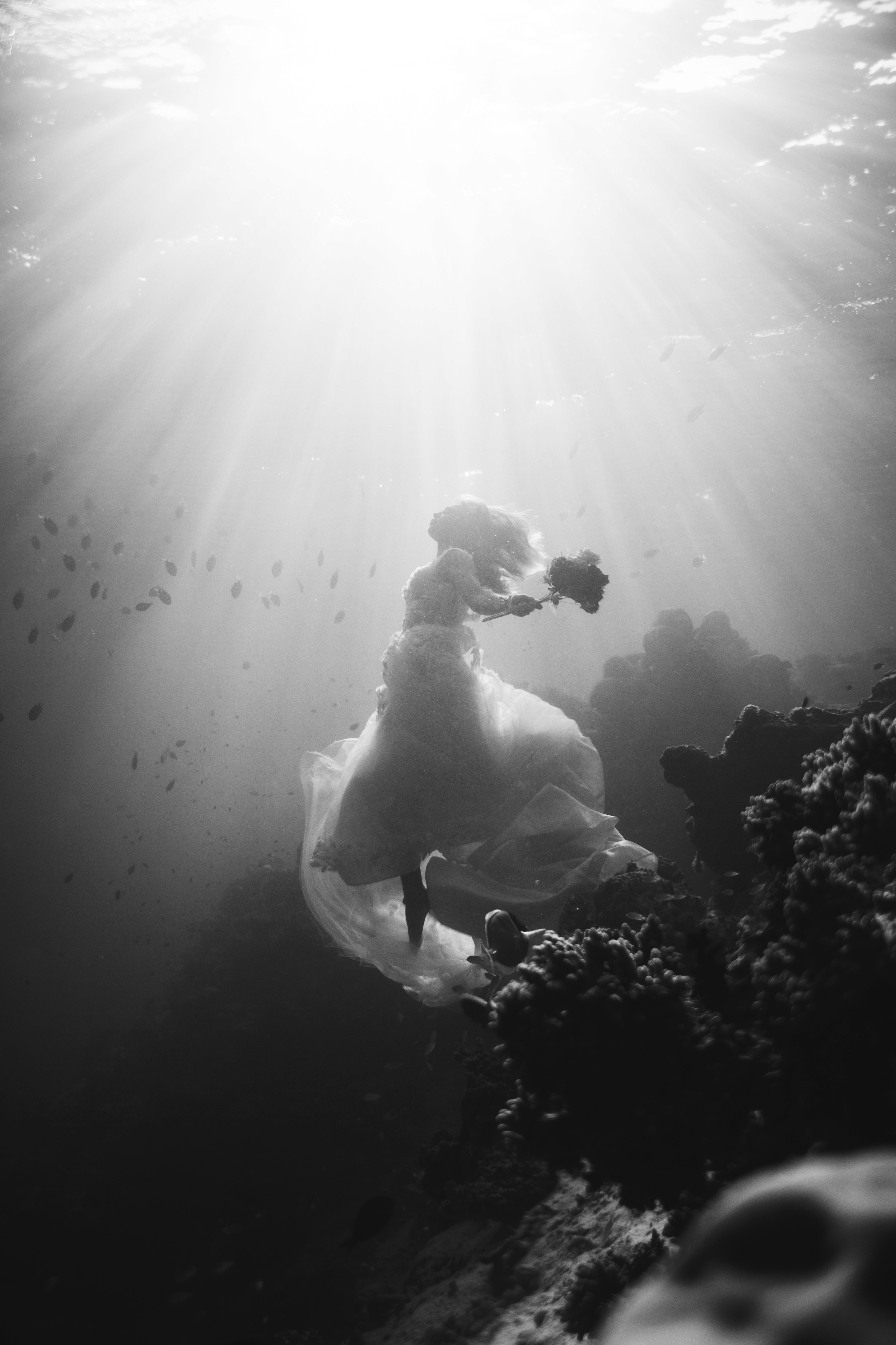 Dom Pérignon vineyards from the sky