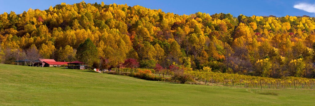 Lovingston Mountain View
