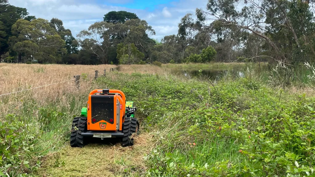 Trimming heavy overgrowth along property boundaries