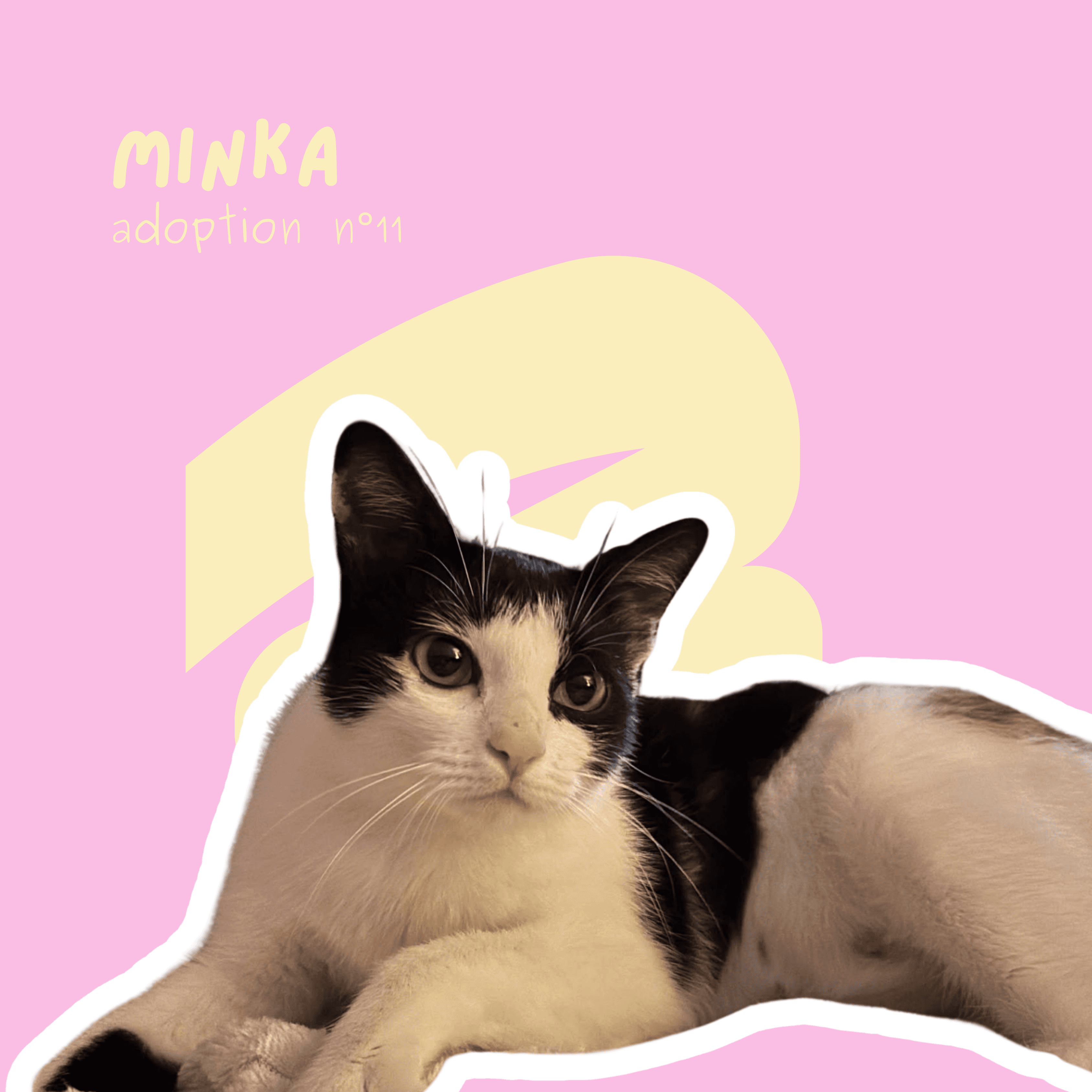 chat-minka