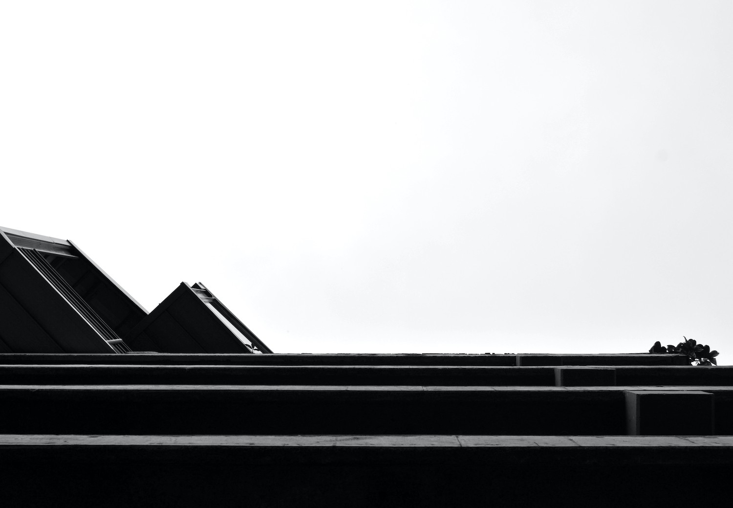 Arquitectura Profile