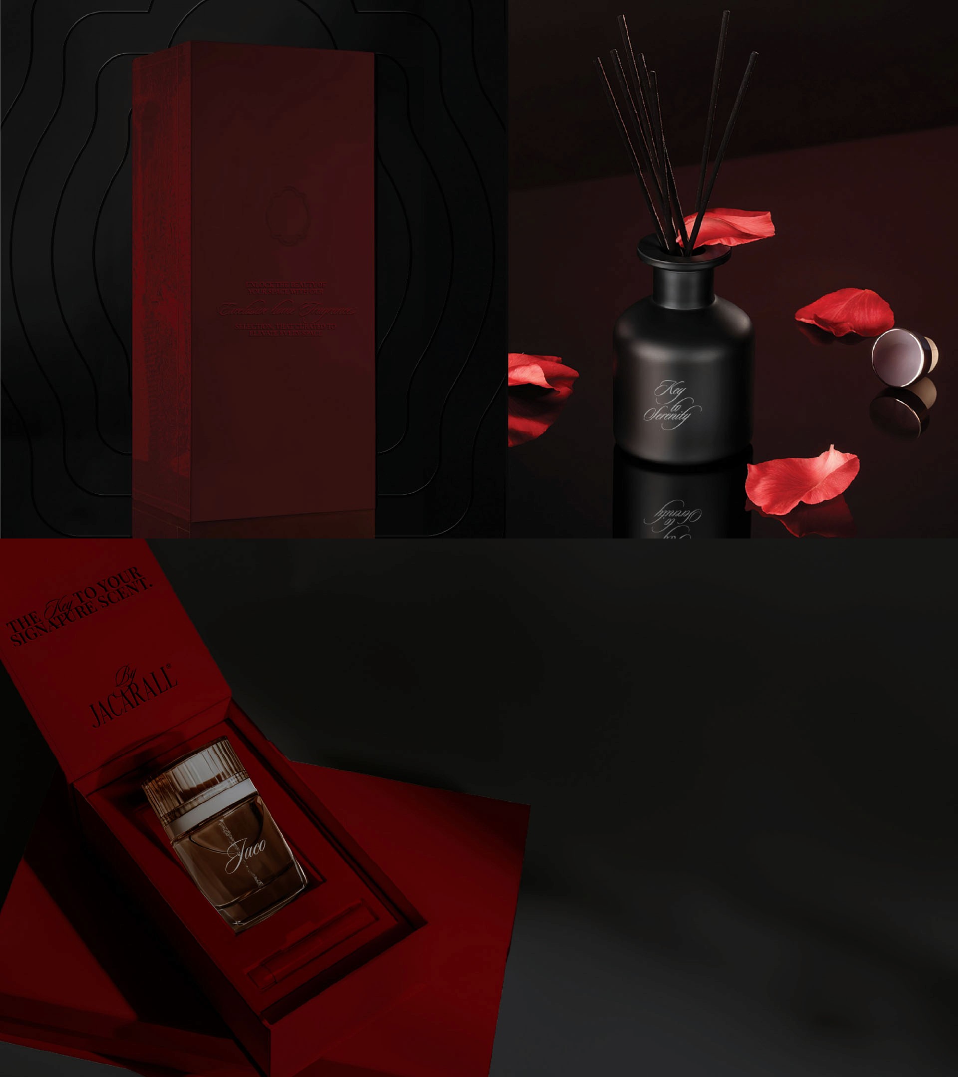 Jacarall , a brand by LongeBlack