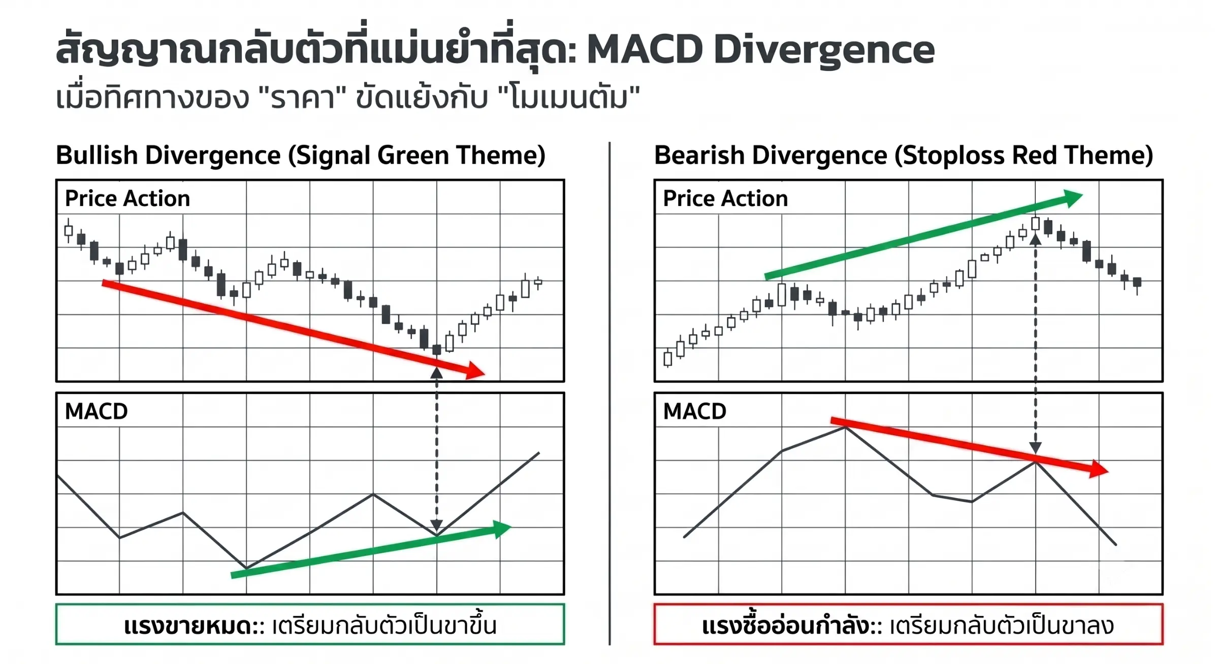 การอ่านสัญญาณขัดแย้ง (MACD Divergence) สัญญาณกลับตัวที่แม่นยำที่สุดของ MACD