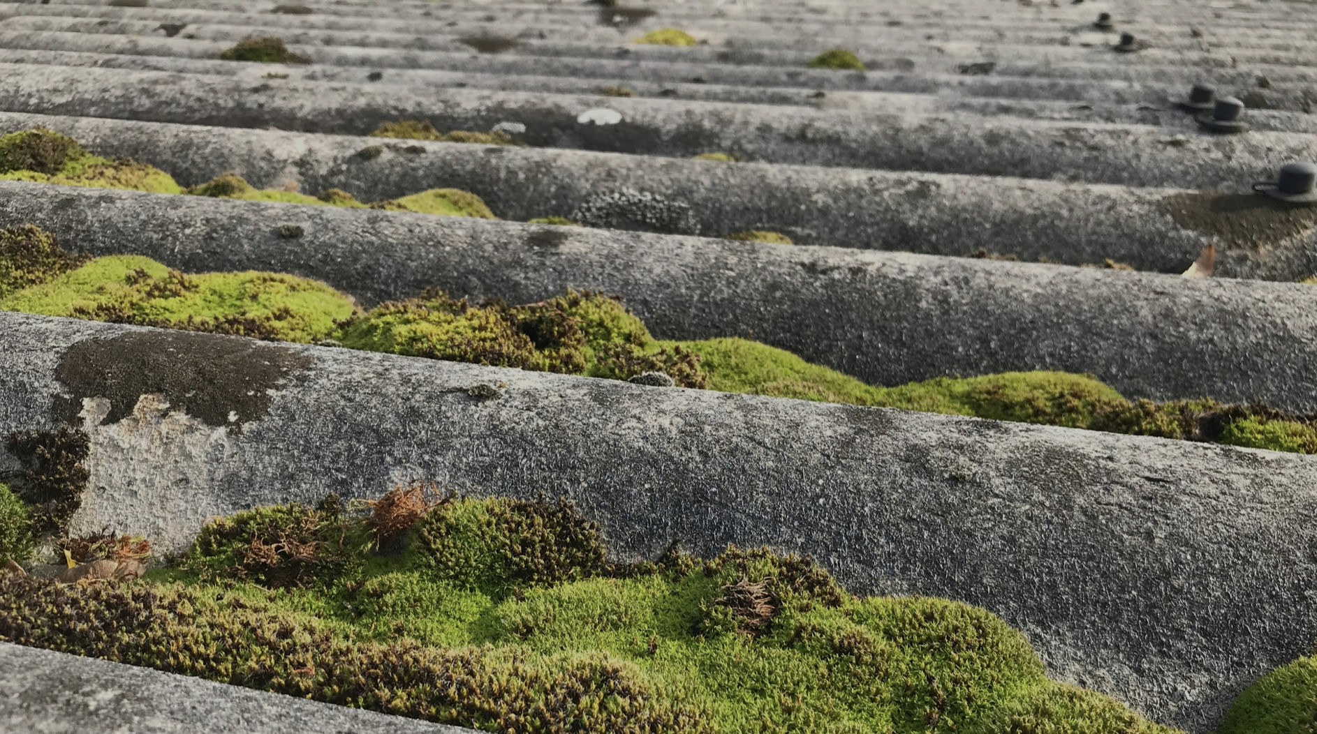 Wellasbest - Eternit