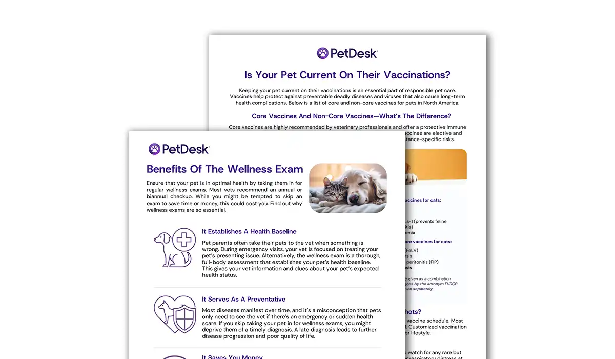 Ultimate Client Education Handouts