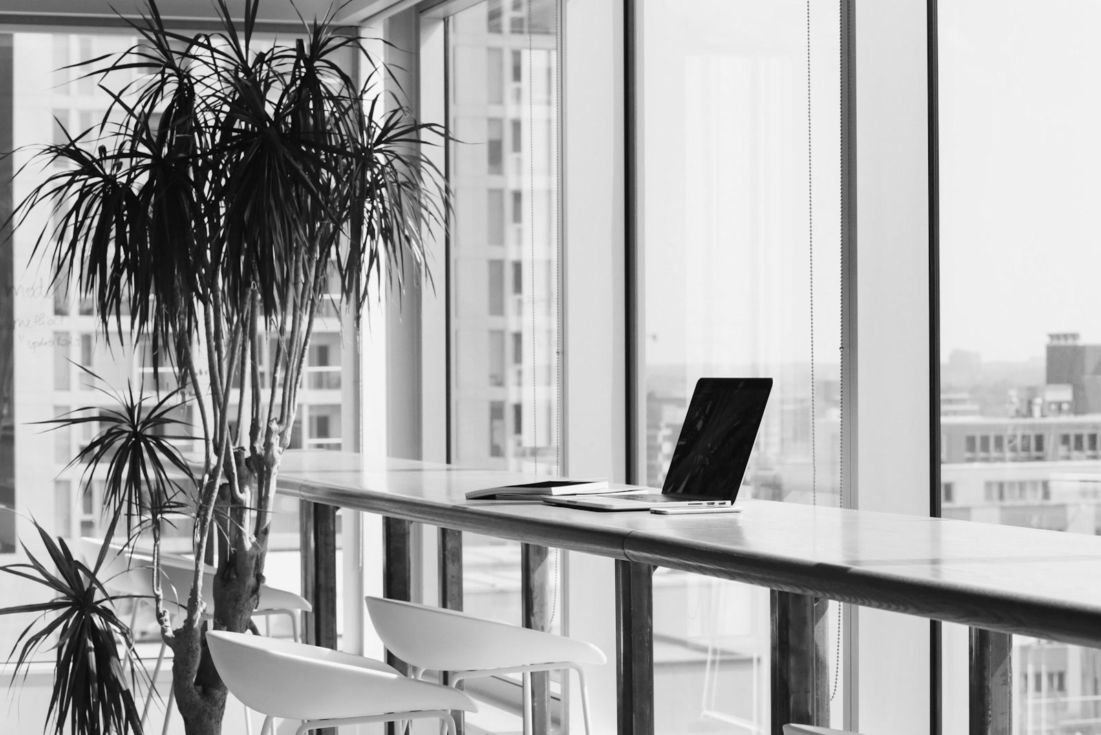 A long desk by floor-to-ceiling windows with a laptop and a tall plant.