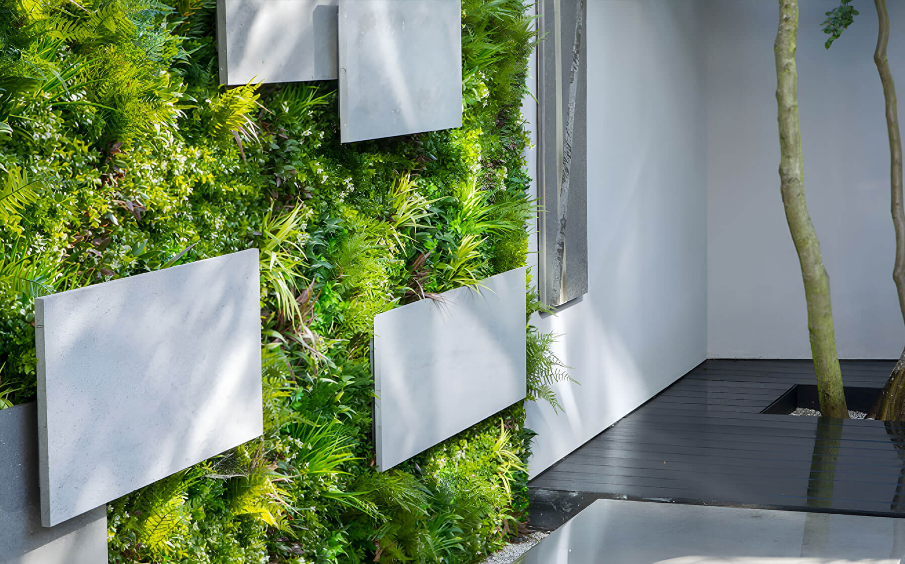 Here, lush green plants are displayed on a wall beside a bright white wall, highlighting the natural beauty of VistaFolia's decor.