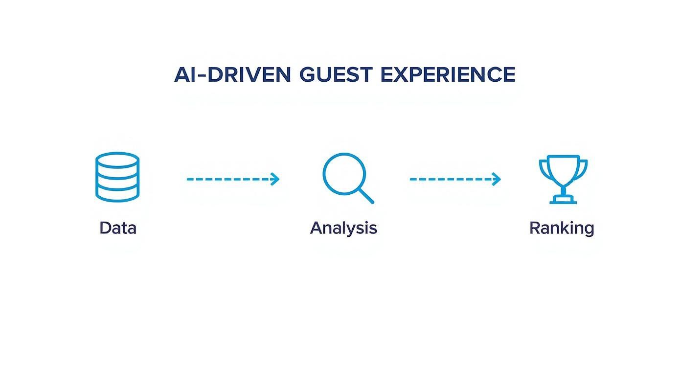 Infographic about guest experience manager