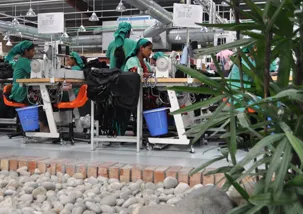 A garment factory floor with workers working in a greener and clean environment. 