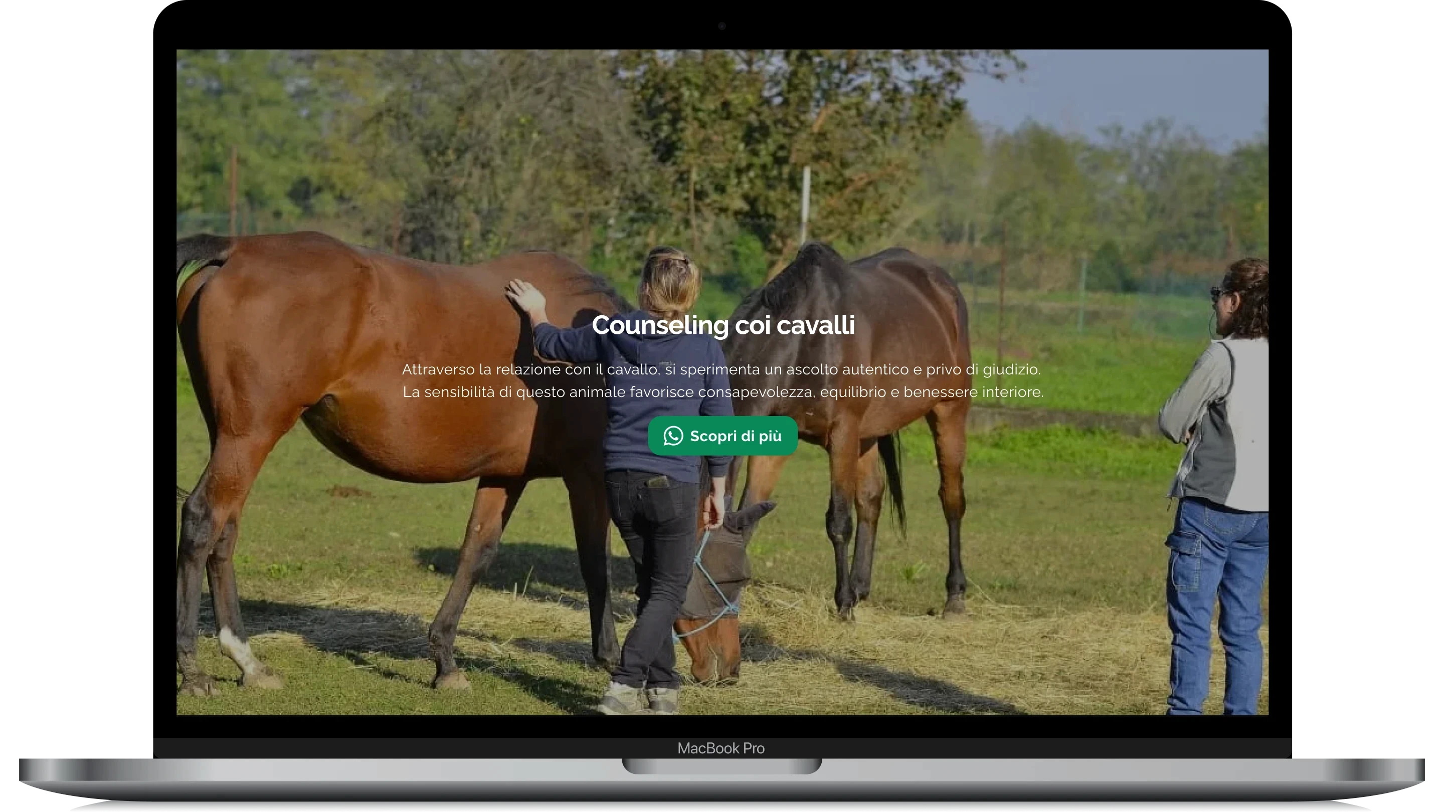 sezione counseling coi cavalli desktop