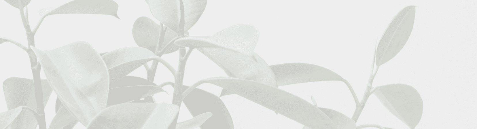 Small image depicting plants