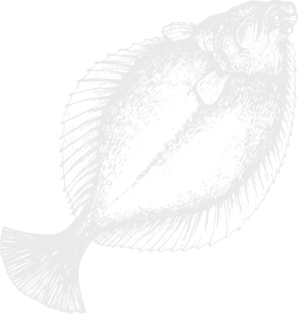 Fish image