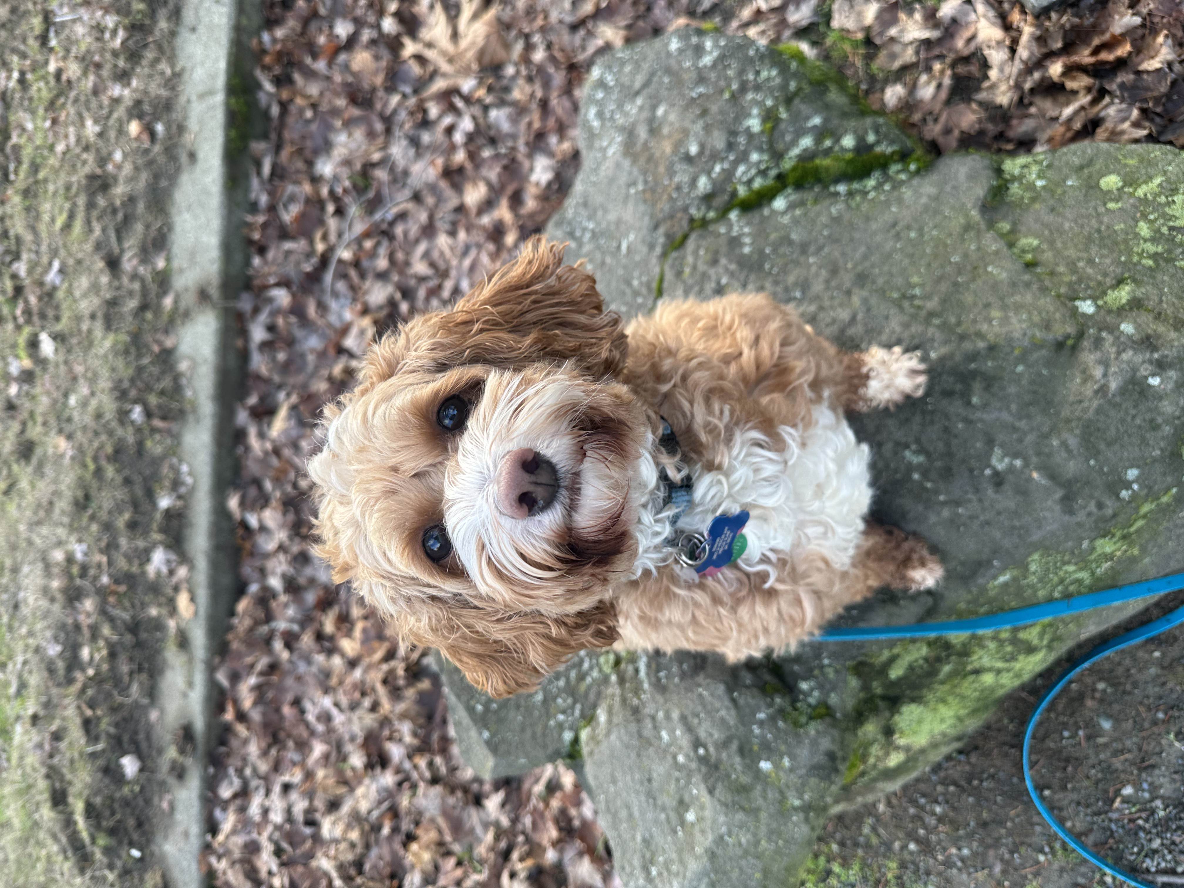 The image featured at the bottom of the about us page