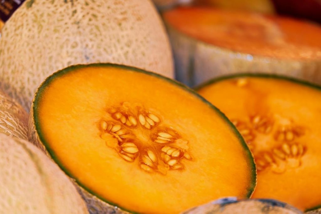 Meloni