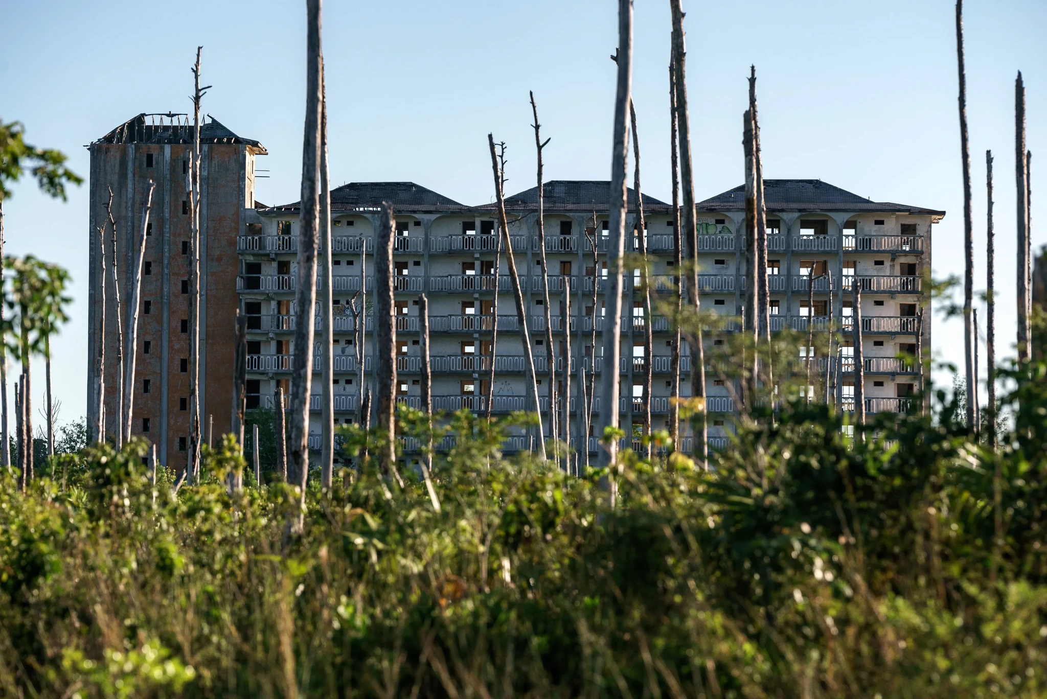 A dilapidated multi-story building in the background, surrounded by leafless tree trunks and overgrown vegetation. The structure appears abandoned, with broken windows and an unfinished appearance under a clear blue sky.