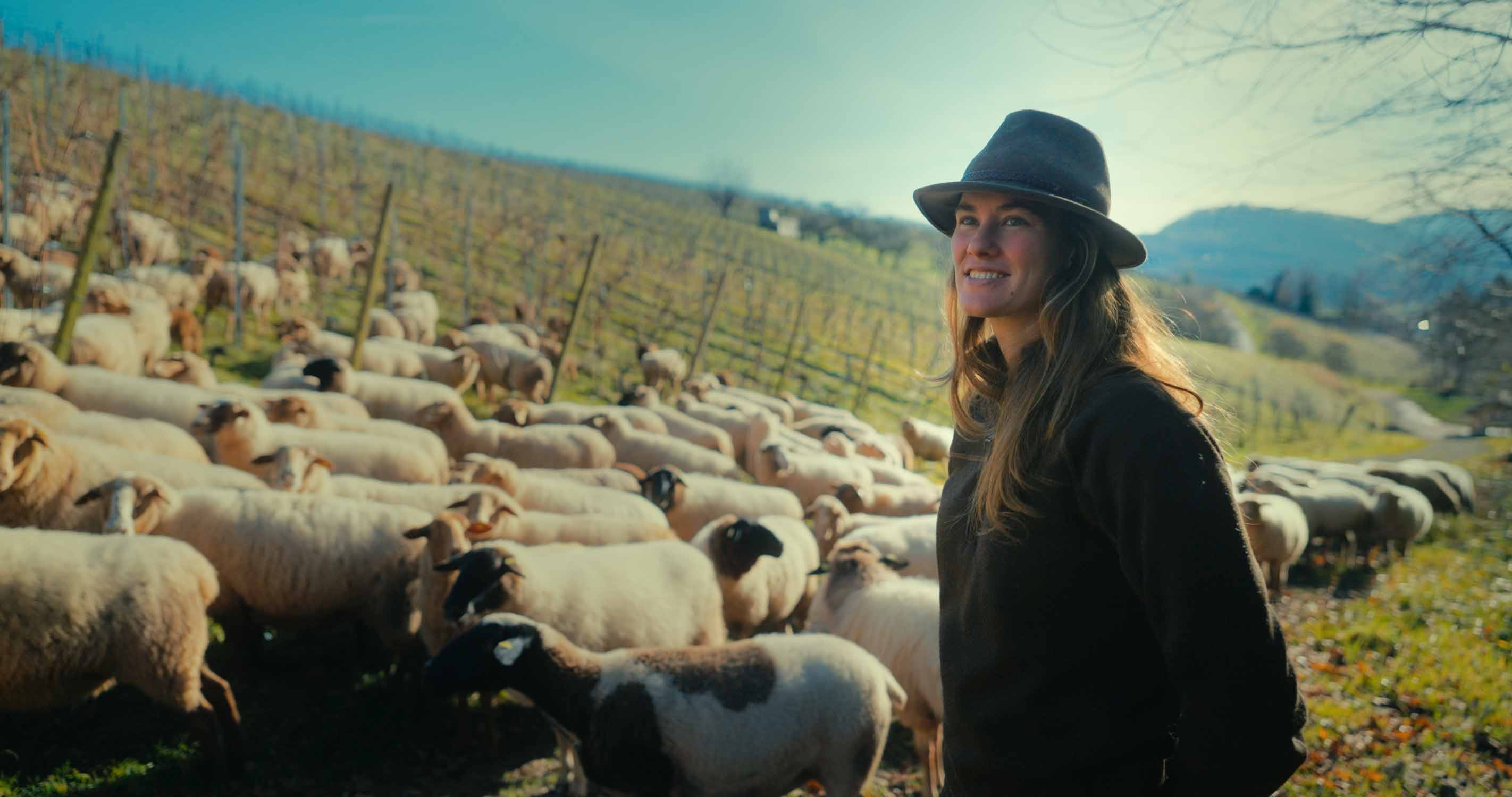 Streetside billboard with flyposters of the Batch.Works brand and illustrations