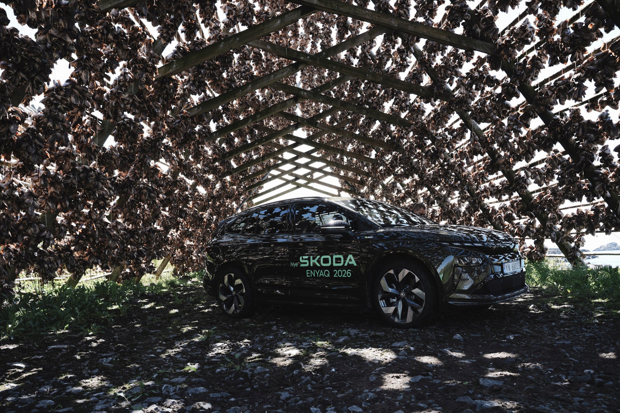 Skoda Enyaq profil bilde i Svolvær