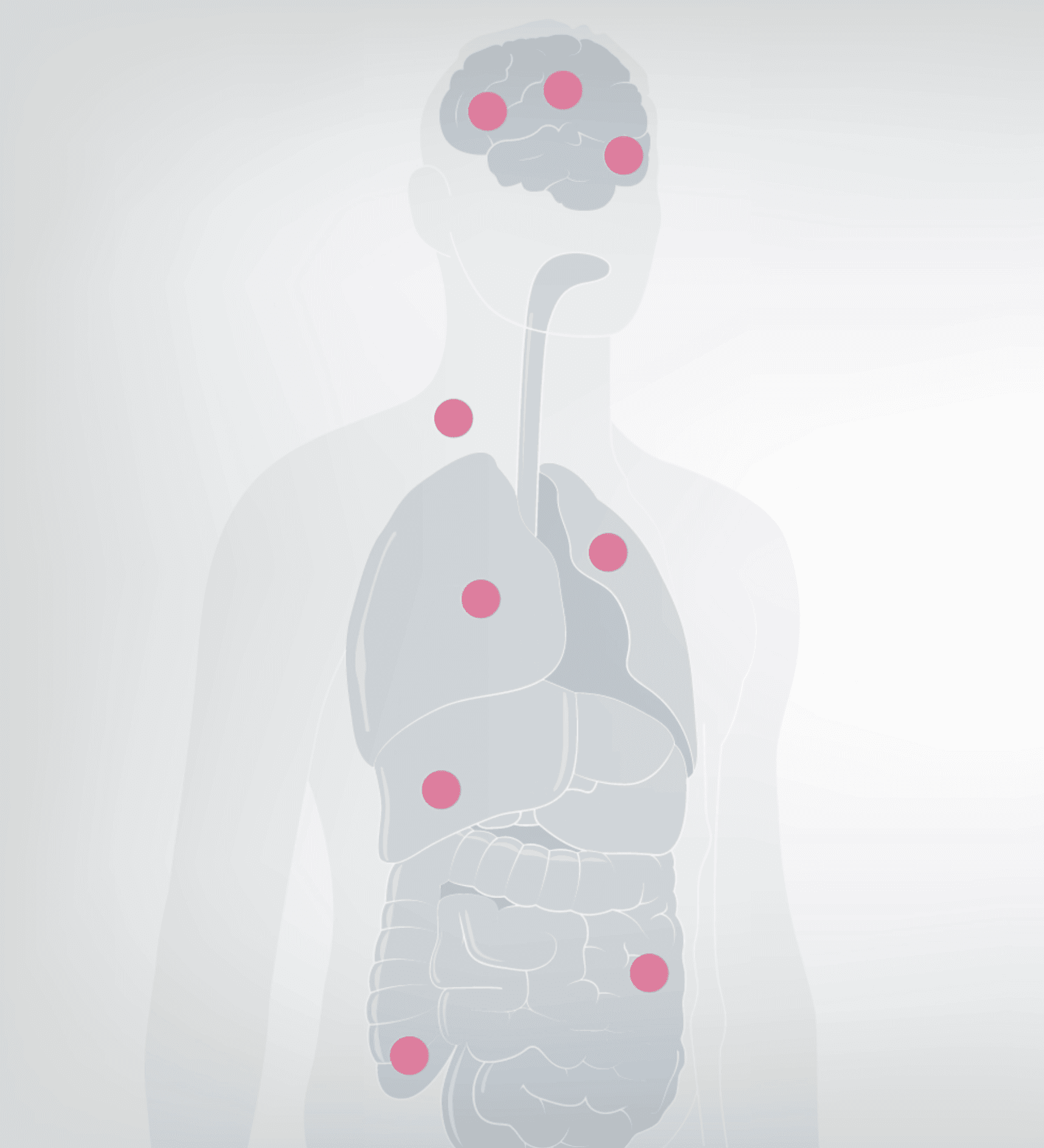 Drug molecule separates from the delivery peptide and enters the cytoplasm
