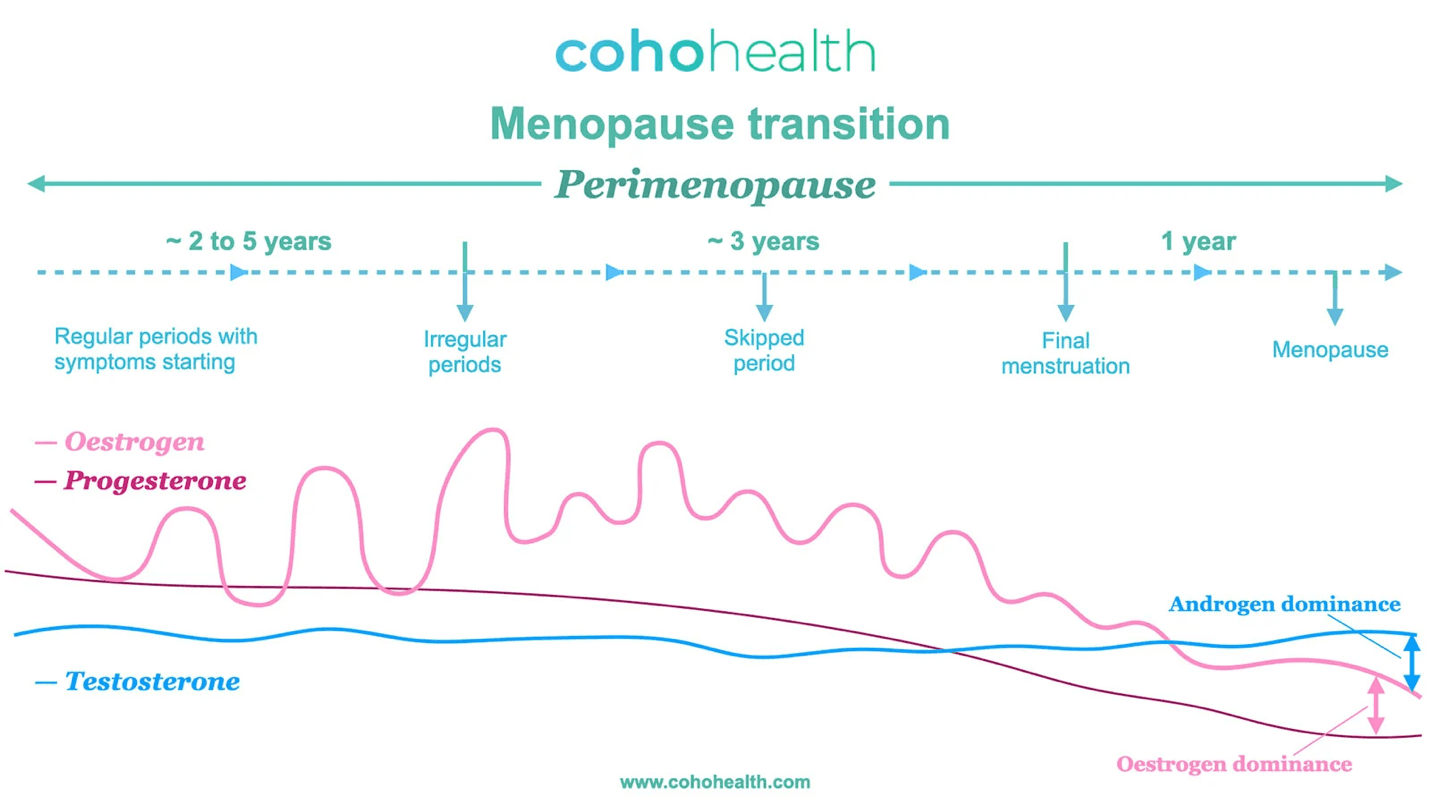 Functional Medicine Approach to Menopause: Better Solutions