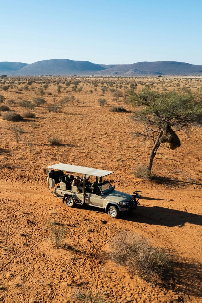 Game Drive