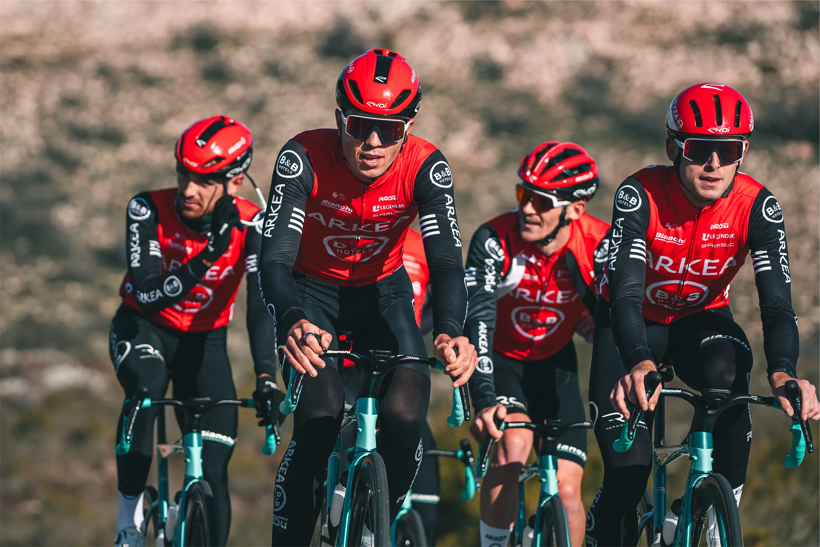 Vekta - ARKEA-B&B Hotels