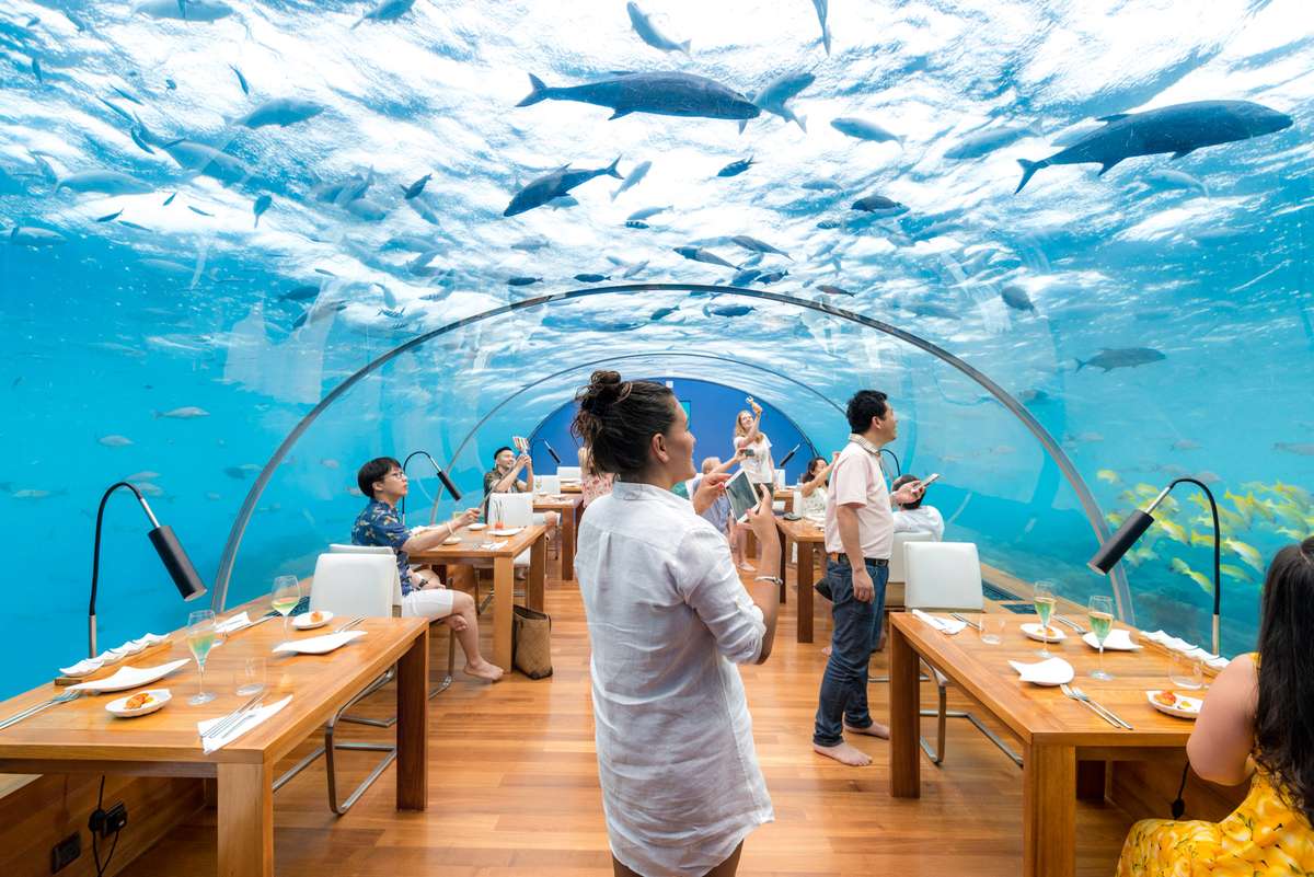 People dine at tables inside an underwater restaurant with a large glass dome overlooking a shark-filled ocean.