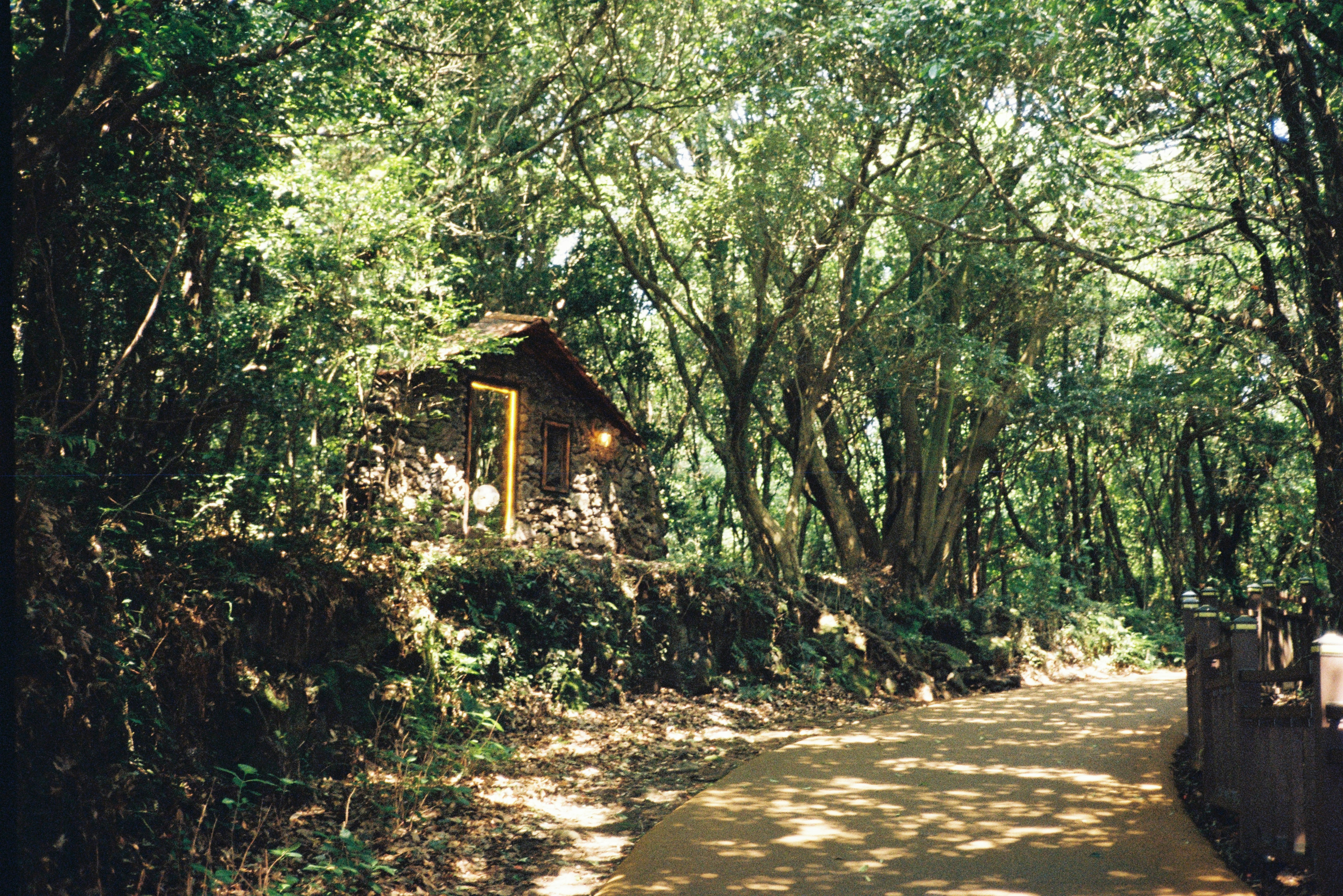 A small cabin lies hidden in the forest.