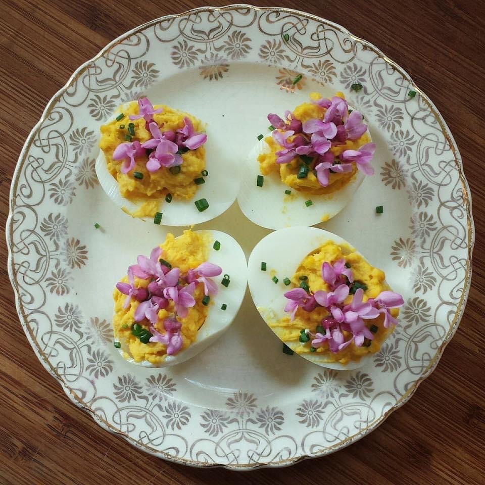 Students identifying and sorting edible wild plants as part of a foraging certification course.