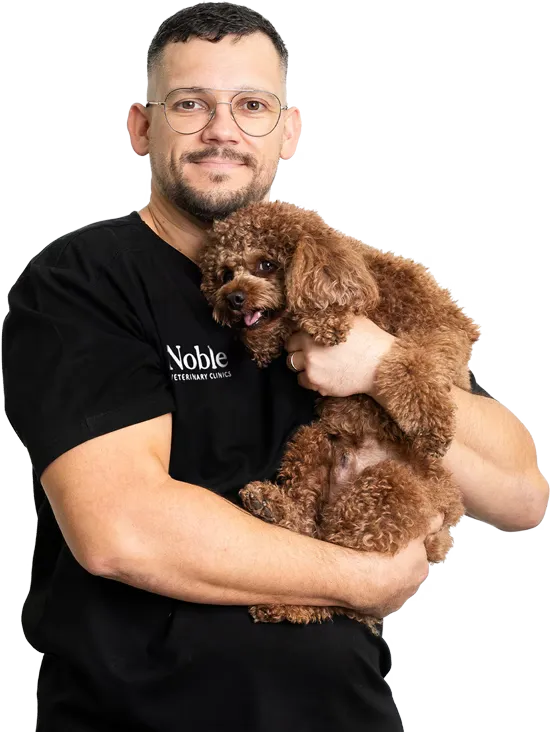 Dr. Rokas Proscevicius: Veterinary Surgeon