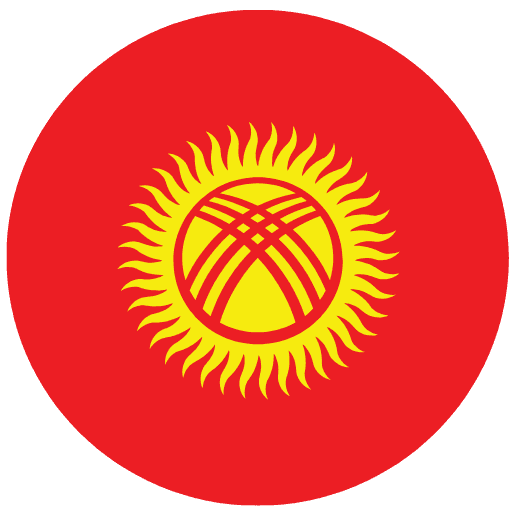 Kyrgyzstan flag – budget-friendly MBBS abroad option