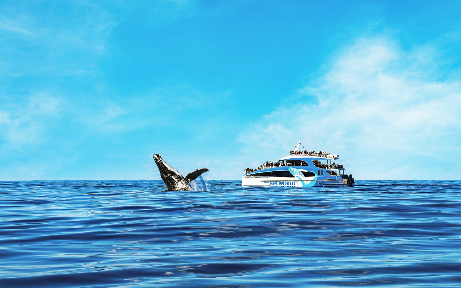 Whale fin emerging near cruise ship on ocean tour.