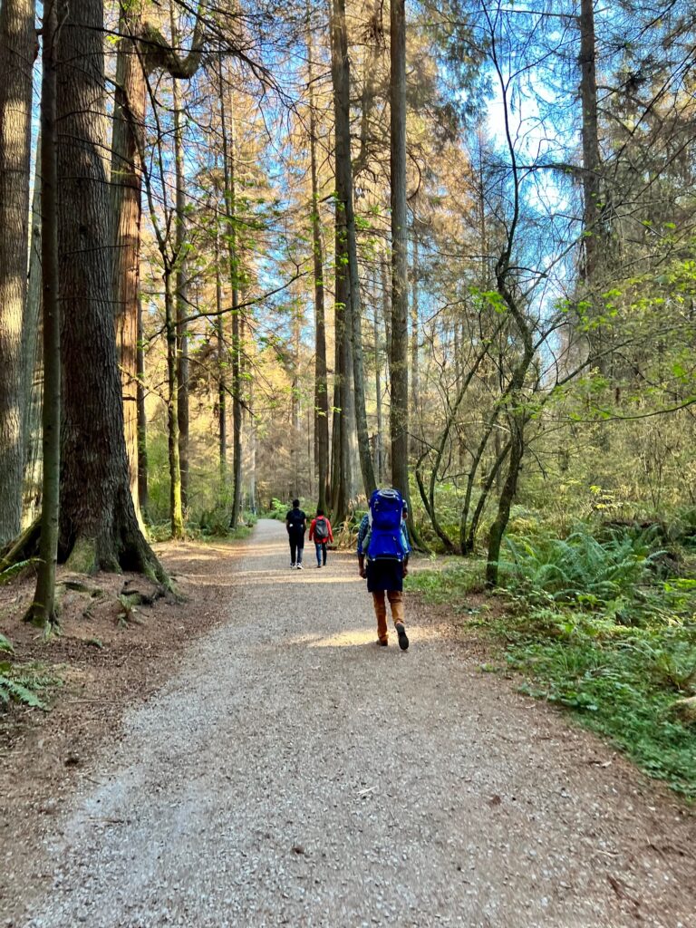A shortcut through Stanley Park with a few people walking across the road.
