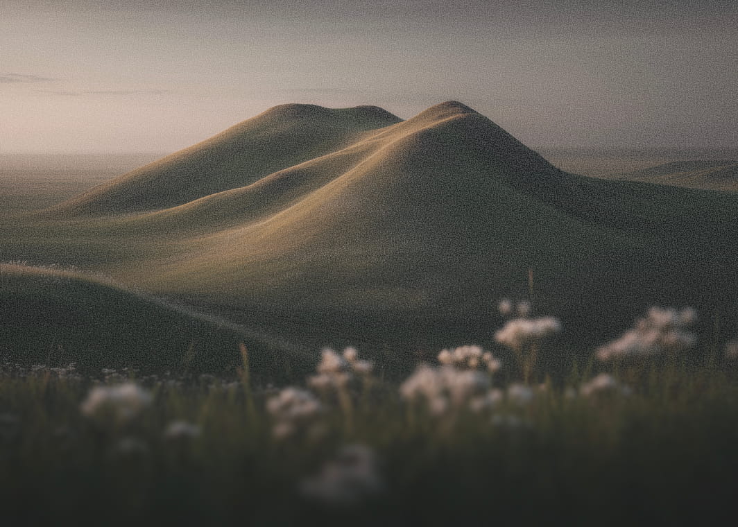 Customer testimonial