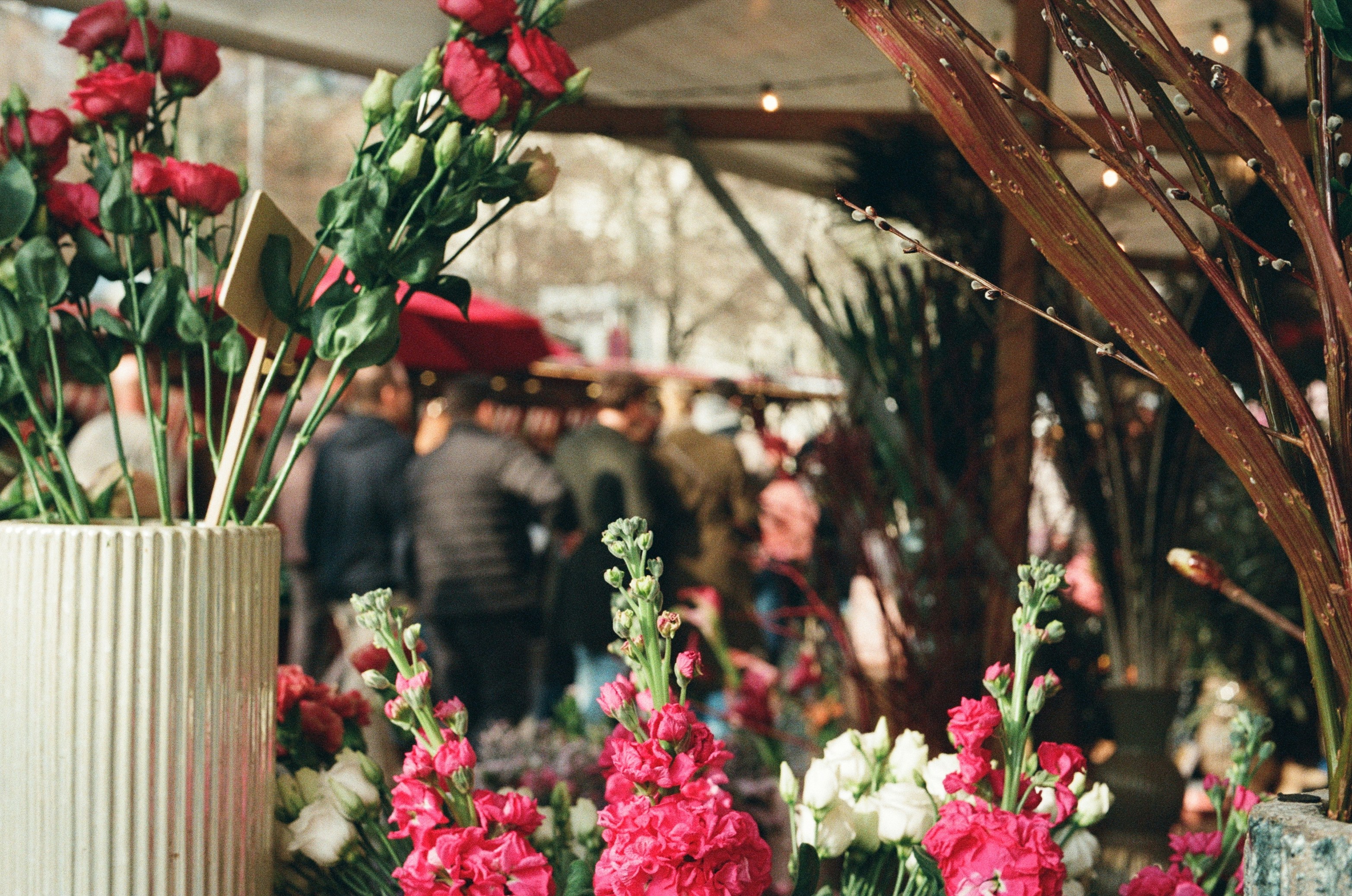 Vibrant red flowers at an outdoor market with blurred people.