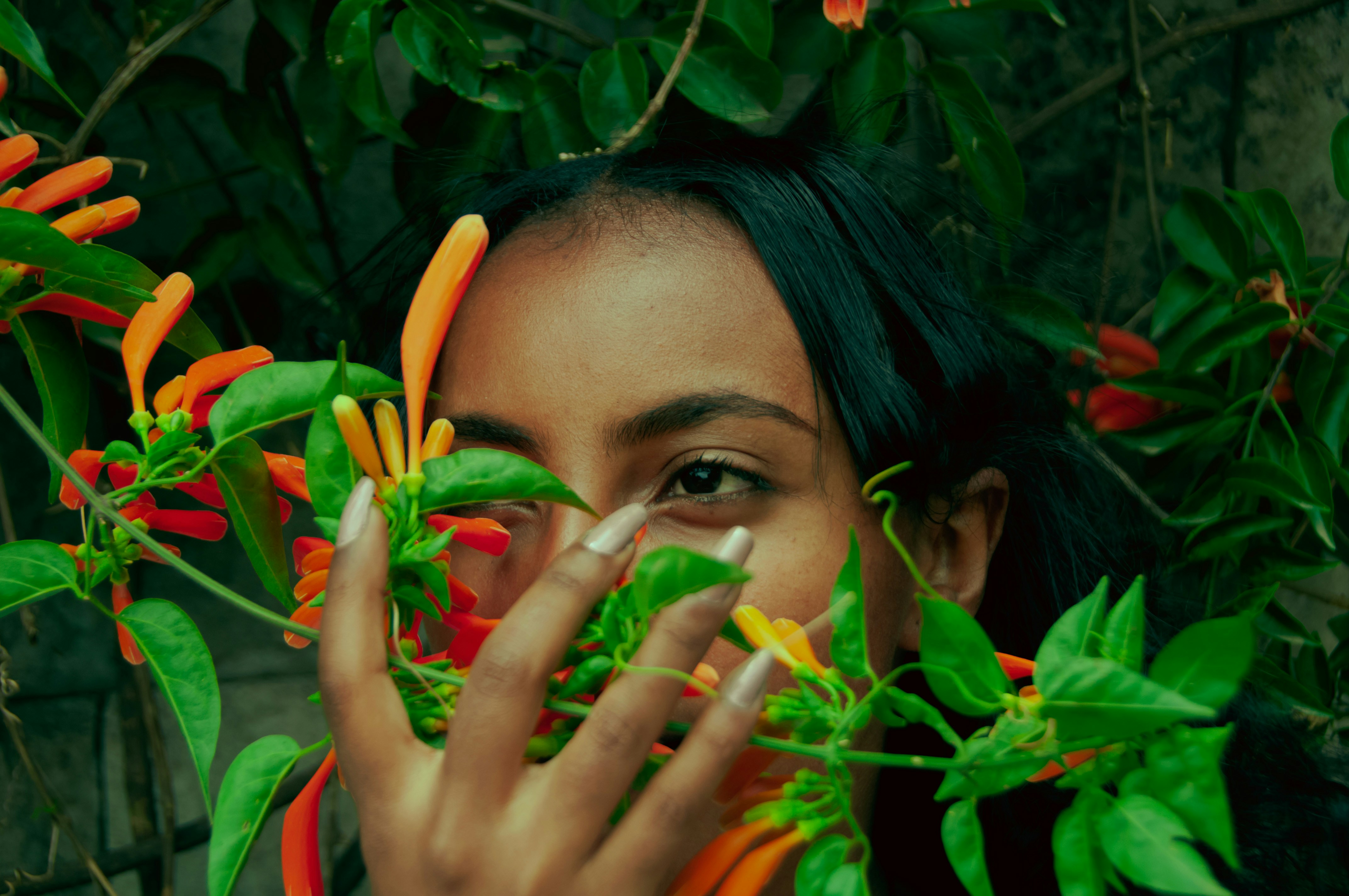 Wildflower Dream