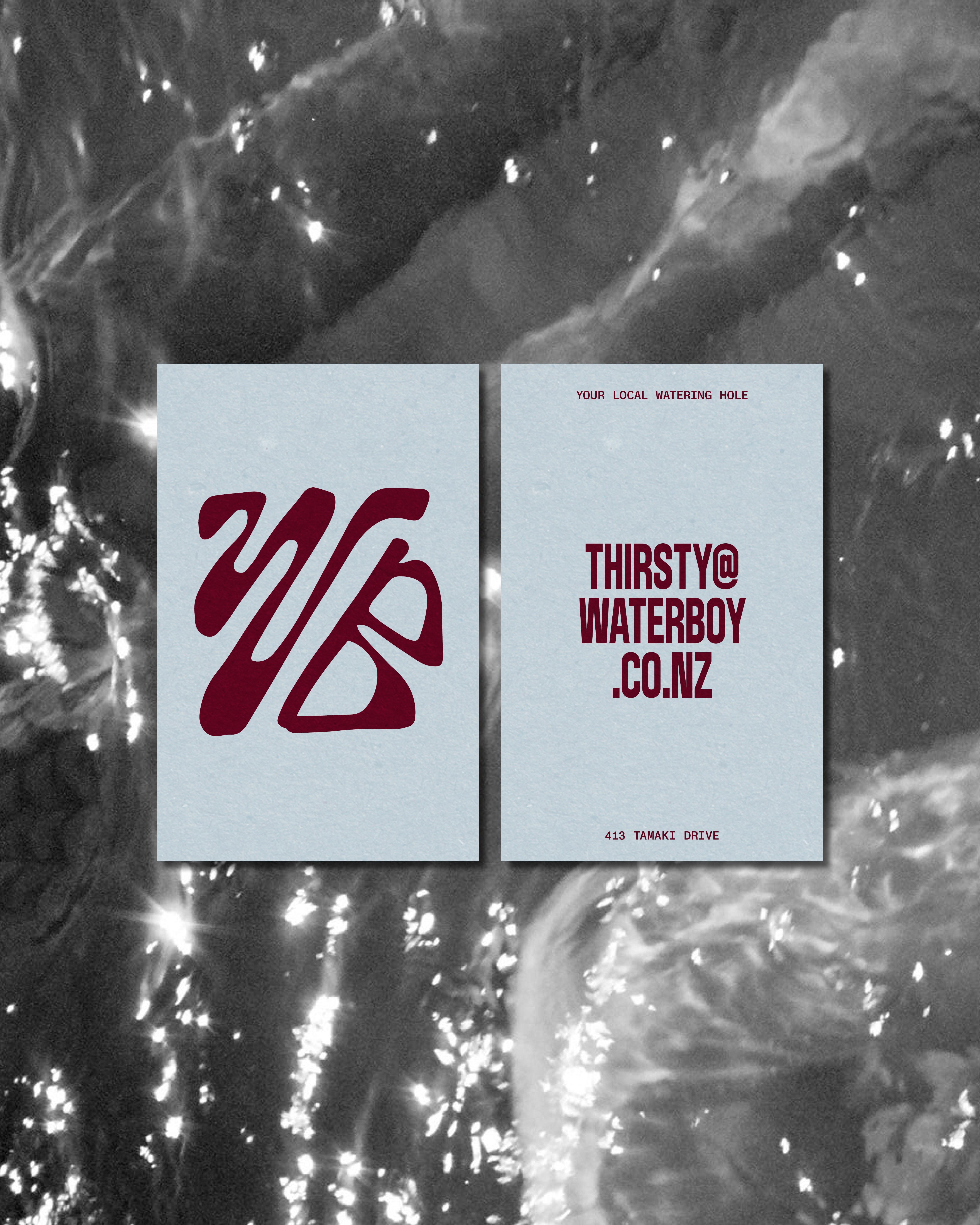 Water Boy Brand Identity
