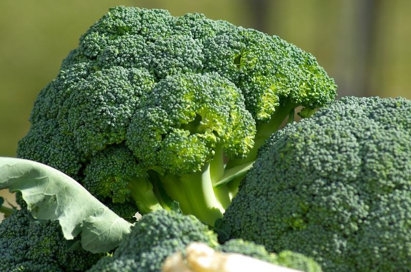 Broccoli