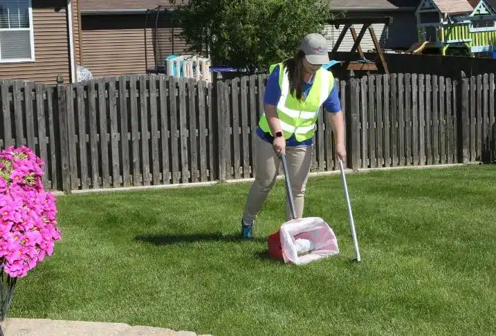 The Scoopers team in someones garden actively cleaning up poop with an industrial pooper scooper kit.